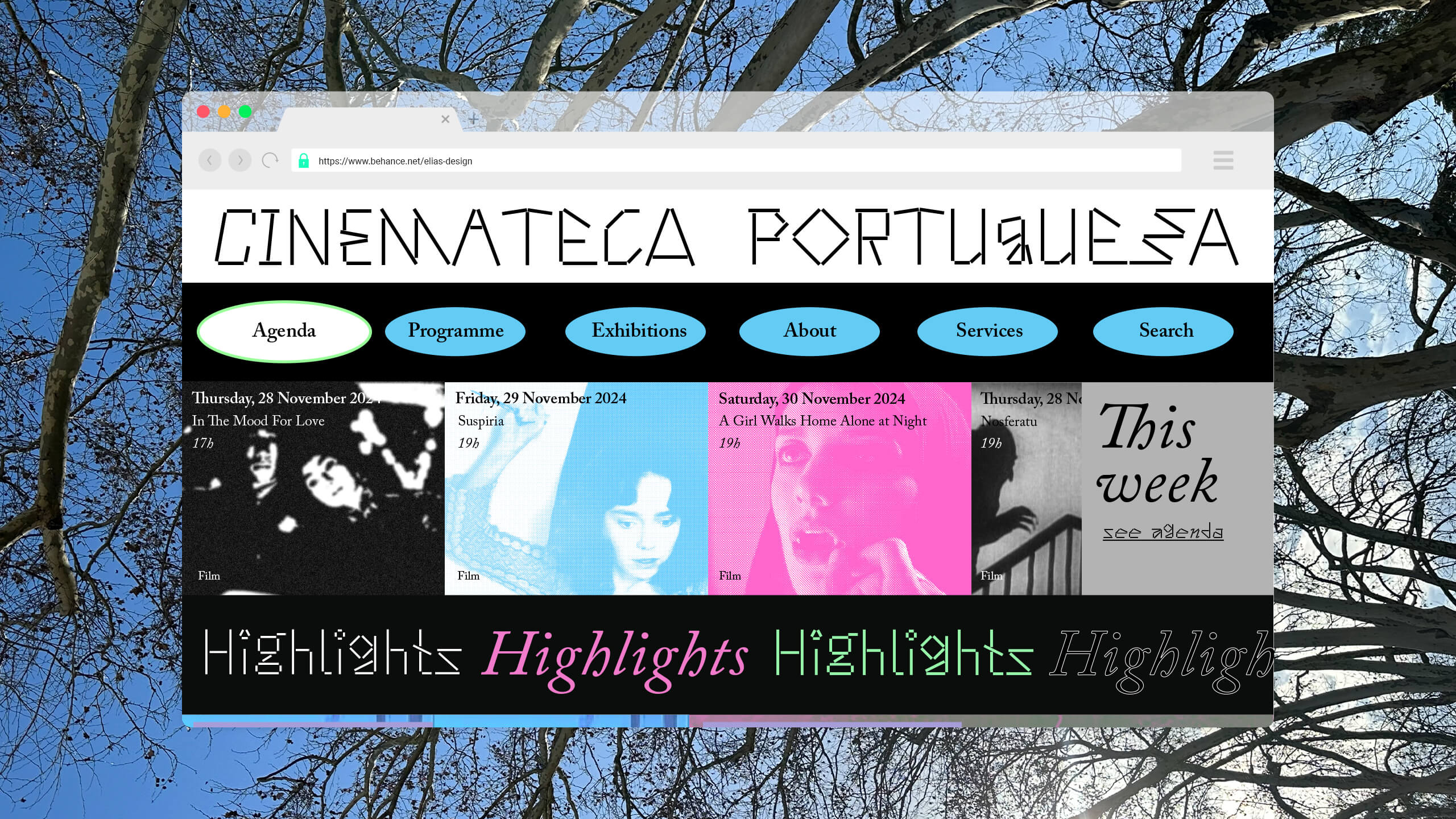 Website